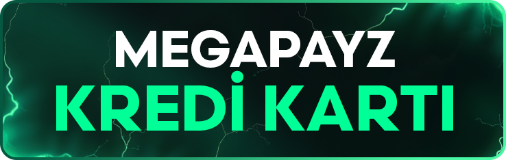 MegaPayzCard